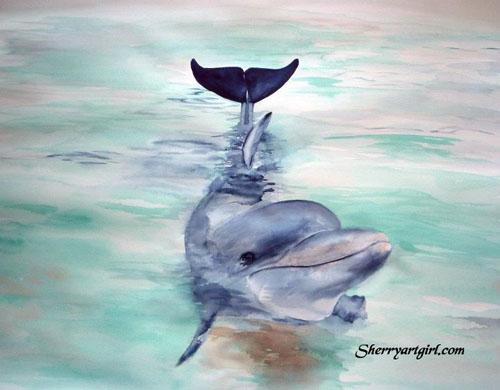 dolphin