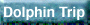 Dolphin Trip Button